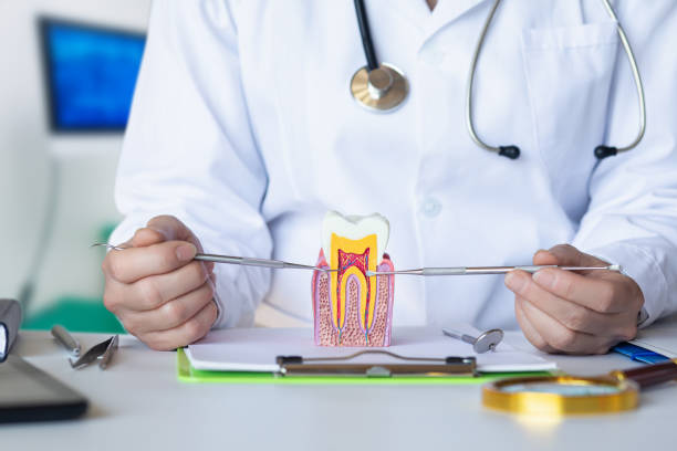 Best Pediatric Emergency Dentist in Diamond Ridge, AK